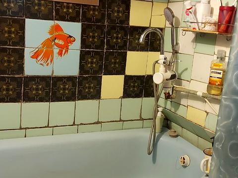 квартира по адресу Осипова ул. (Осипова), 36