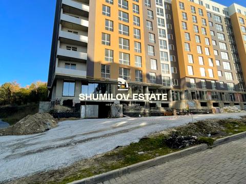 комерційна за адресою Малоголосківська вул., 21