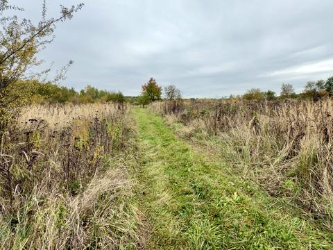 участок по адресу 