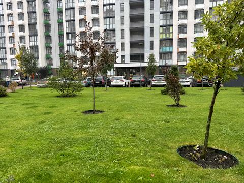 квартира за адресою Тираспольська вул., 60