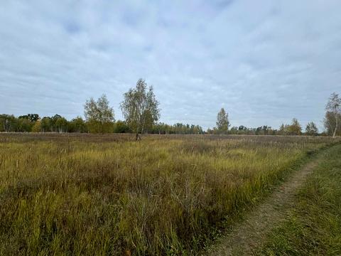 участок по адресу 