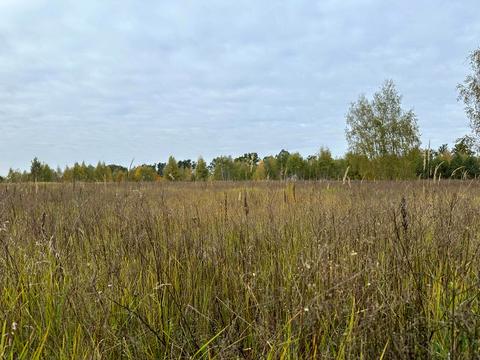 участок по адресу 