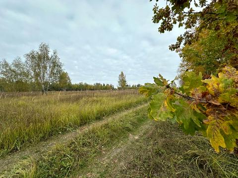 участок по адресу 