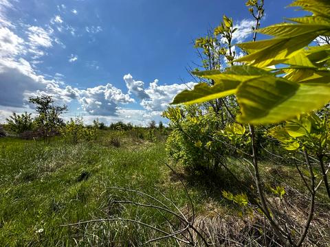 ділянка за адресою 