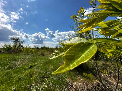 участок по адресу 