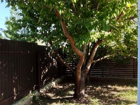 дом по адресу Днепровская ул., 16а