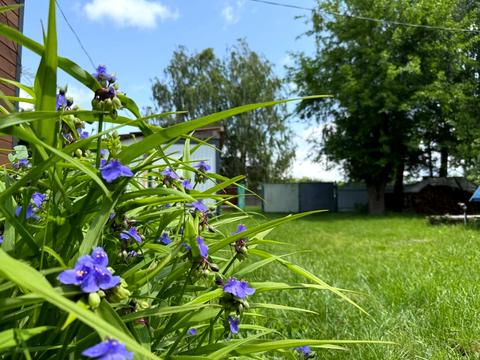 участок по адресу 