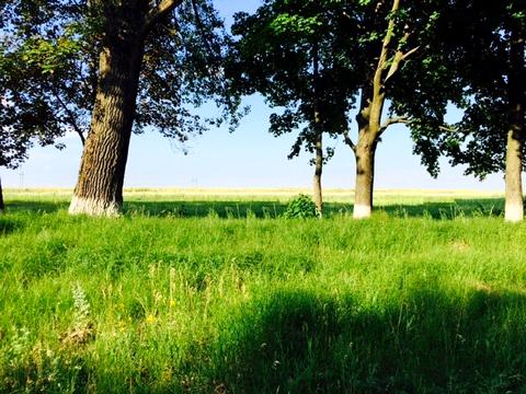 участок по адресу 