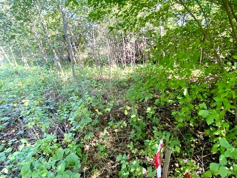 участок по адресу 