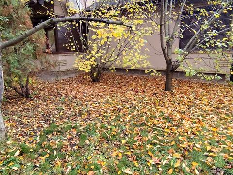 дом по адресу Вербна, 36а
