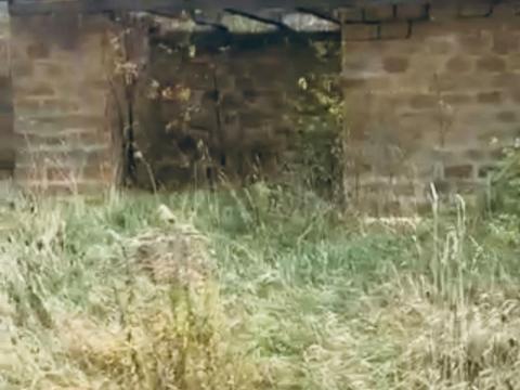 участок по адресу Молодіжна