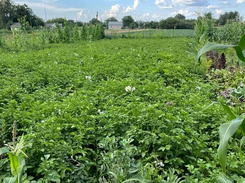 будинок за адресою Центральна