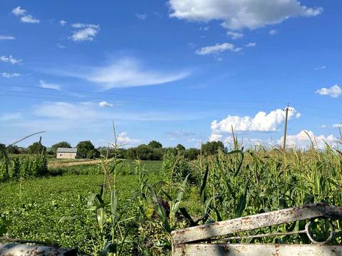 будинок за адресою Центральна