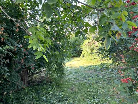 будинок за адресою Центральна