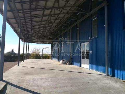 комерційна за адресою Нове вул., 81