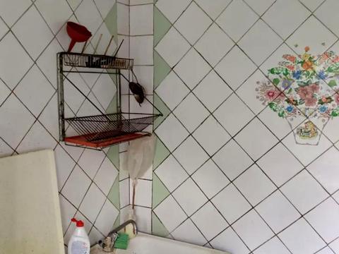 квартира по адресу Мира ул., 100