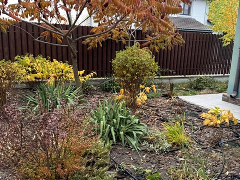 дом по адресу Квіткова