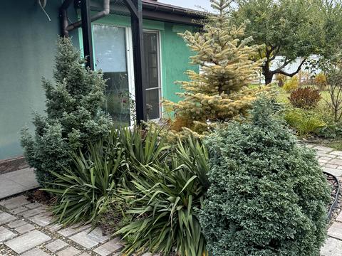 дом по адресу Квіткова