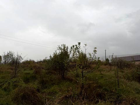 ділянка за адресою Сонячна