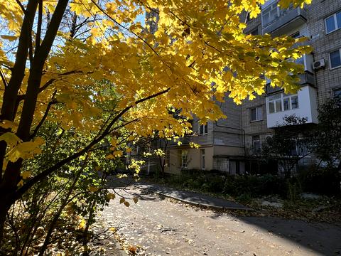 квартира за адресою Космонавтів просп., 39