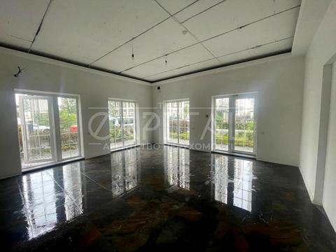 комерційна за адресою Михайла Максимовича вул. (Онуфрія Трутенка), 24г