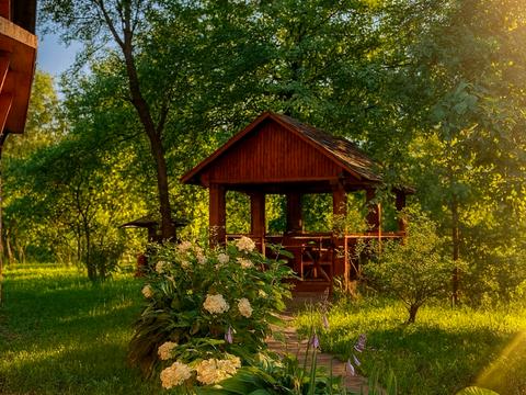 коммерческая по адресу с. Ракош, Сливова, 1