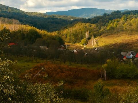 коммерческая по адресу с. Ракош, Сливова, 1