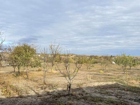 будинок за адресою Щабельского