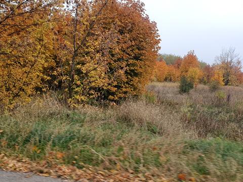 ділянка за адресою Академика Сахарова, 139