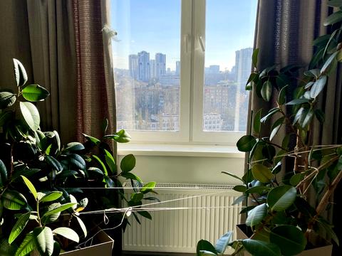 квартира по адресу Рижская ул., 73-Г