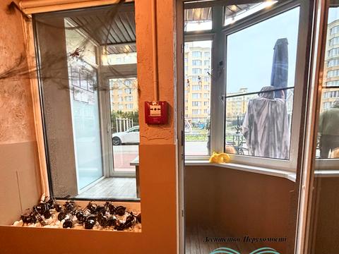 коммерческая по адресу Счастливая ул., 11