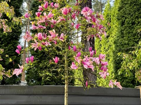 дом по адресу Гоголя