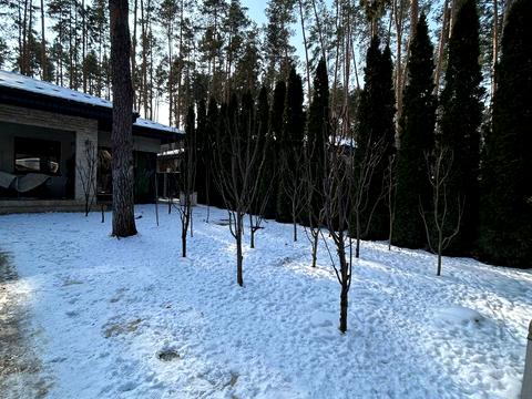 дом по адресу Гоголя