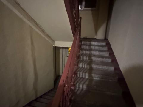 квартира по адресу Академика Павлова ул., 140в