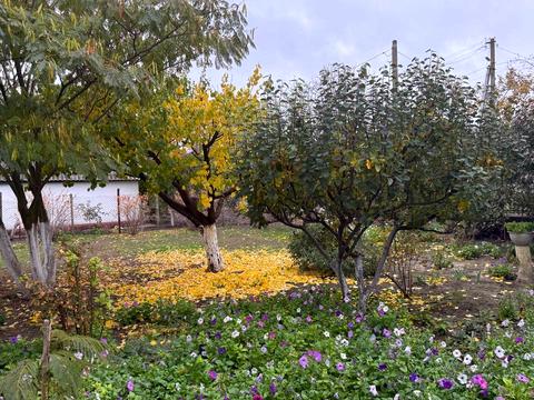 будинок за адресою Західна