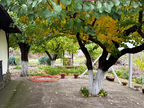 будинок за адресою Західна