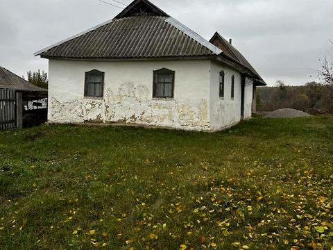 дом по адресу Річкова