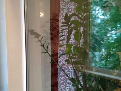 квартира по адресу Академика Янгеля ул. (Фрунзе), 65