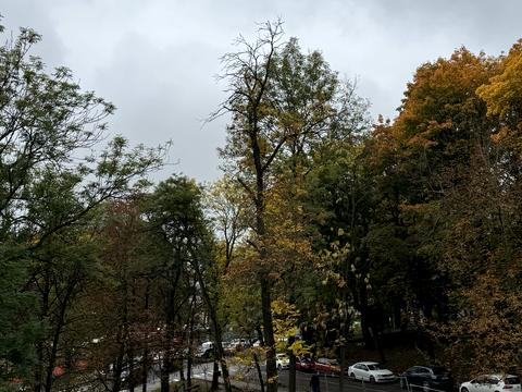 квартира за адресою Клепарівська вул., 15