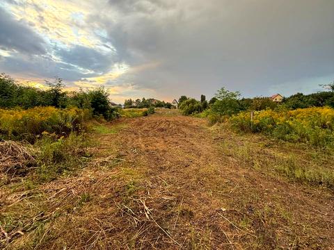ділянка за адресою с. Віта-поштова, Берегова вул.