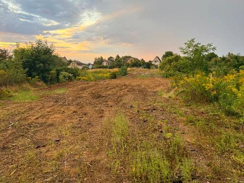 ділянка за адресою с. Віта-поштова, Берегова вул.