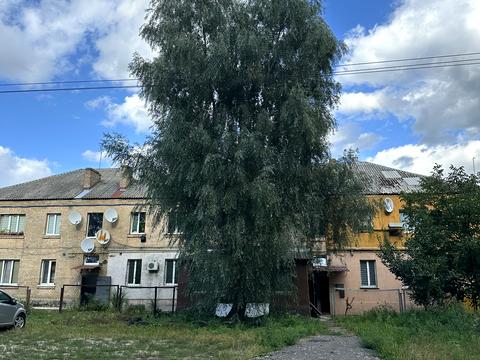 комерційна за адресою Дмитра Янченка вул., 2