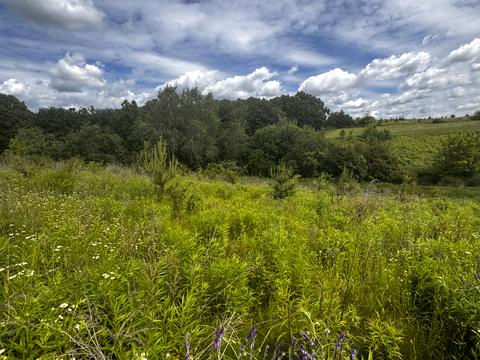 ділянка за адресою 