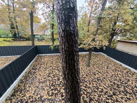 будинок за адресою Північна вул.