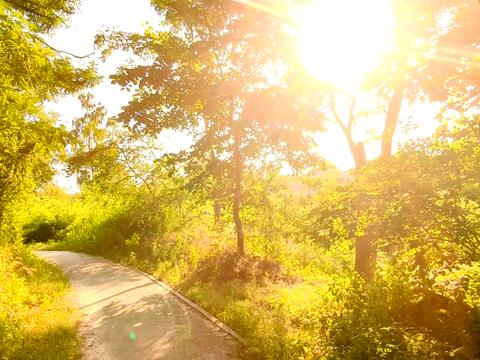 будинок за адресою Живописна, 19