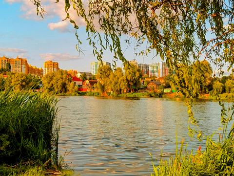 будинок за адресою Живописна, 19