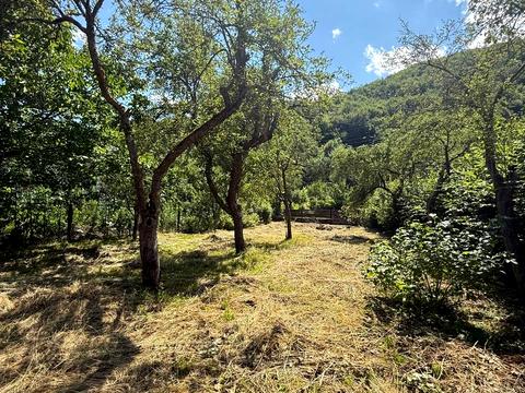 квартира за адресою Франка вул., 91