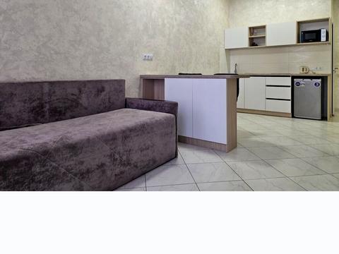 квартира по адресу Дача Ковалевского ул., 91