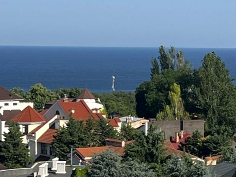 квартира по адресу Французский бульв., 15