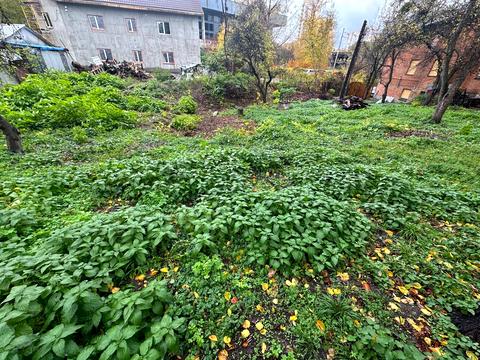 ділянка за адресою Польова вул., 25А